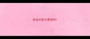 泰迪犬胎毛要剃吗