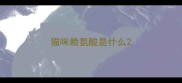 猫咪赖氨酸是什么