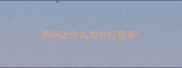 狗狗去什么地方打疫苗