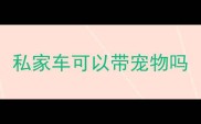 私家车可以带宠物吗