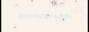 边牧的特征是什么意思