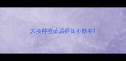 犬接种疫苗后得细小概率