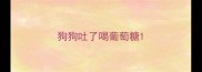 狗狗吐了喝葡萄糖