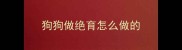 狗狗做绝育怎么做的