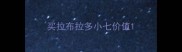 买拉布拉多小七价值