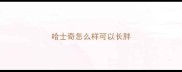 哈士奇怎么样可以长胖