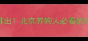 泰迪便便干硬难排出北京养狗人必看的5个科学调理指南