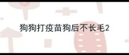 狗狗打疫苗狗后不长毛