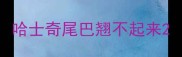 哈士奇尾巴翘不起来