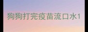 狗狗打完疫苗流口水