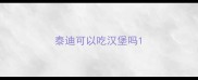泰迪可以吃汉堡吗