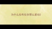 为什么拉布拉多那么爱动