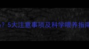 小狗能吃玉米面吗5大注意事项及科学喂养指南附食谱推荐