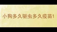小狗多久驱虫多久疫苗