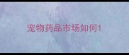 宠物药品市场如何