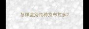 怎样鉴别纯种拉布拉多