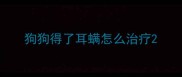 狗狗得了耳螨怎么治疗