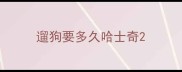 遛狗要多久哈士奇