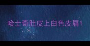 哈士奇肚皮上白色皮屑