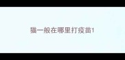 猫一般在哪里打疫苗