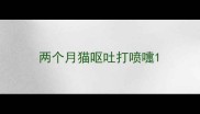 两个月猫呕吐打喷嚏