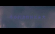 半岁的边牧能长多大