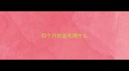 四个月的金毛喂什么
