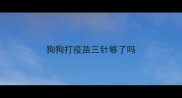 狗狗打疫苗三针够了吗