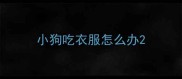小狗吃衣服怎么办