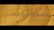 一个月小狗喂水吗