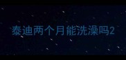 泰迪两个月能洗澡吗