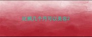 比熊几个月可以美容
