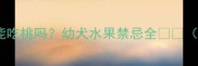 金毛幼犬能吃桃吗幼犬水果禁忌全附食谱