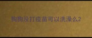 狗狗没打疫苗可以洗澡么