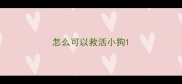 怎么可以救活小狗