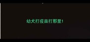 幼犬打疫苗打那里