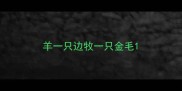 羊一只边牧一只金毛