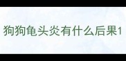 狗狗龟头炎有什么后果
