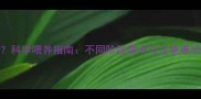 小狗一天喂多少狗粮科学喂养指南不同阶段需求与注意事项附喂食量计算表