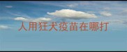 人用狂犬疫苗在哪打