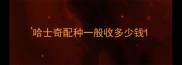 哈士奇配种一般收多少钱