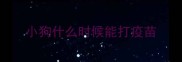 小狗什么时候能打疫苗