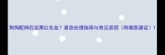 狗狗配种后流黑红色血紧急处理指南与常见原因附兽医建议