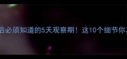 猫咪接种疫苗后必须知道的5天观察期这10个细节你真的了解吗