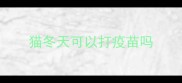 猫冬天可以打疫苗吗