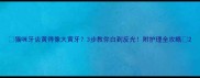 猫咪牙齿黄得像大黄牙3步教你白到反光附护理全攻略