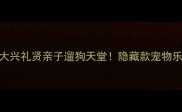 北京大兴礼贤亲子遛狗天堂隐藏款宠物乐园攻略