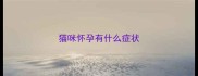 猫咪怀孕有什么症状