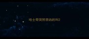 哈士奇突然很凶的叫