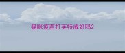 猫咪疫苗打英特威好吗